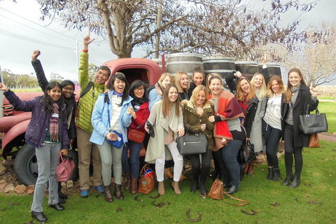 1/2 Day Swan Valley Wine Cheese & Chocolate Tour Inc Afternoon Cruise To Perth - Gold Coast Attractions 5