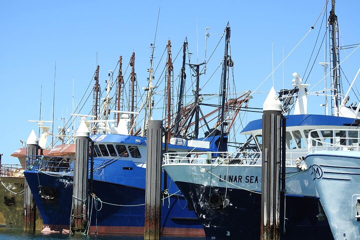  Gold Coast Attractions