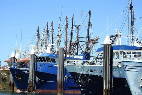 One Day Port Lincoln Tour - Tasting Eyre - Gold Coast Attractions 0