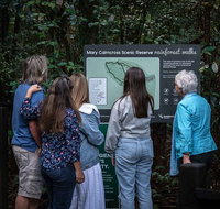 Sunshine Coast Hinterland and Noosa Day Trip from Brisbane Including Eumundi Markets and Ginger Factory - Gold Coast Attractions