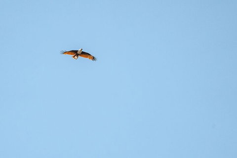 North Stradbroke Island Day Trip From Brisbane - Gold Coast Attractions 4