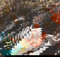 Springbrook andTamborine Rainforest Tour Incl Natural Bridge and Glow Worm Cave - Gold Coast Attractions