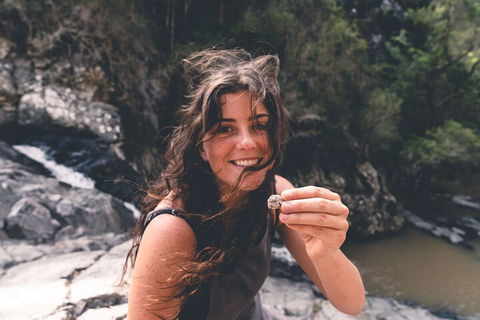 Springbrook AndTamborine Rainforest Tour Incl Natural Bridge And Glow Worm Cave - Gold Coast Attractions 1