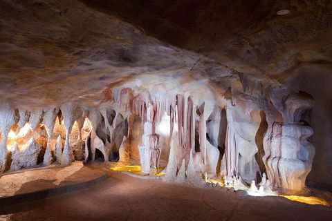 Springbrook AndTamborine Rainforest Tour Incl Natural Bridge And Glow Worm Cave - Gold Coast Attractions 4