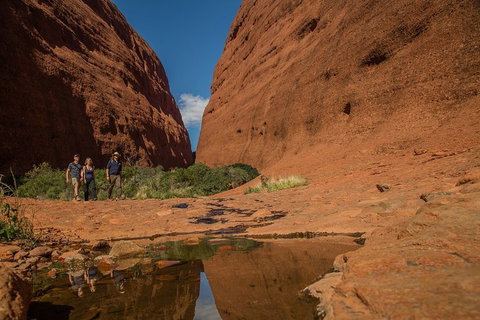 4 Day/3 Night Perentie Dreaming Safari - Gold Coast Attractions 3