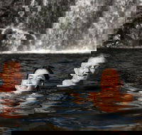 3 Day 4WD Dragonfly Dreaming Top End Safari - Gold Coast Attractions