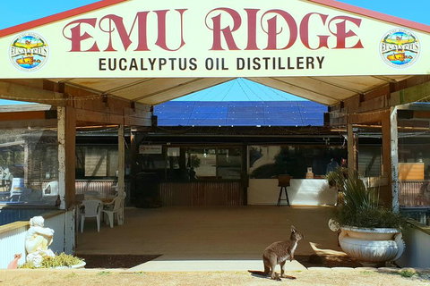 2 Day Ultimate Kangaroo Island With Return Ferry - Gold Coast Attractions 3