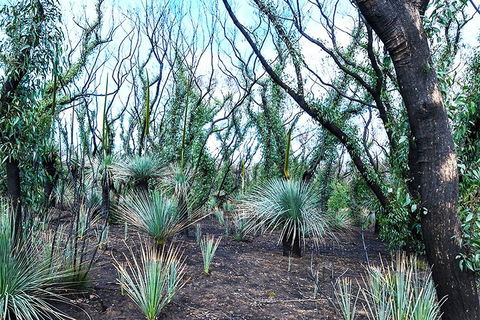 NEW TOUR - Kangaroo Island Road To Recovery Tour (1 Day/1 Night) - Gold Coast Attractions 3