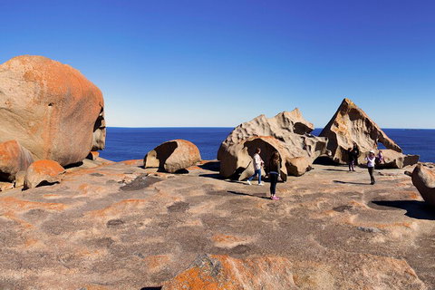 Full-Day Kangaroo Island Experience Departing From Kangaroo Island - Gold Coast Attractions 4