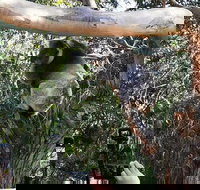 Small-Group Great Ocean Road Day Trip from Melbourne - Gold Coast Attractions