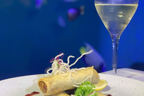 Cairns Aquarium And Small Group City Sightseeing Tour - Gold Coast Attractions 5