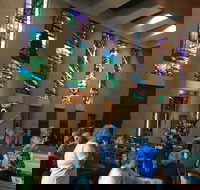 Cairns Shore Excursion Cairns City Sights  Surrounds Tour