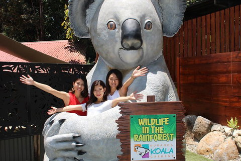 Kuranda Koala Gardens And Birdworld Admission Tickets - Gold Coast Attractions 3