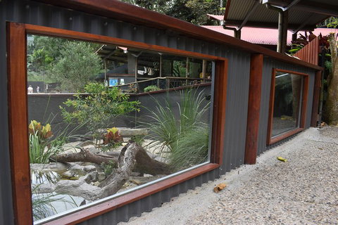 Kuranda Koala Gardens And Birdworld Admission Tickets - Gold Coast Attractions 4