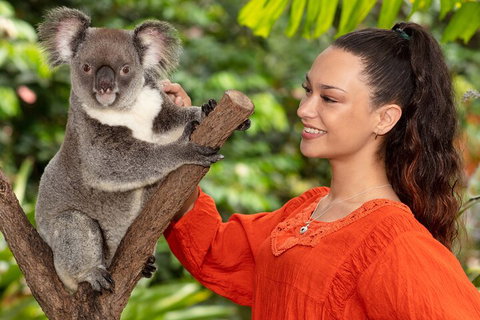 Kuranda Wildlife Experience Three Attraction Pass - Gold Coast Attractions 4