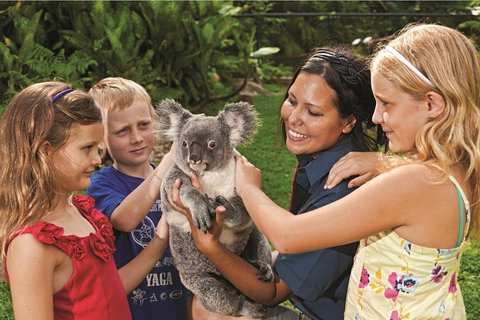 Kuranda Koala Gardens General Entry Ticket - Gold Coast Attractions 0