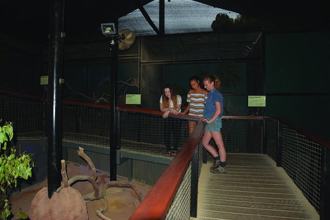 Kuranda Koala Gardens General Entry Ticket - Gold Coast Attractions 2