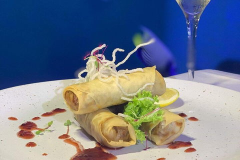Cairns Aquarium Marine Life Encounter Ticket With 2-Course Lunch - Gold Coast Attractions 1