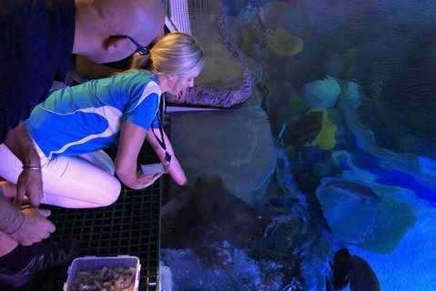 Cairns Aquarium Marine Life Encounter Ticket With 2-Course Lunch - Gold Coast Attractions 2