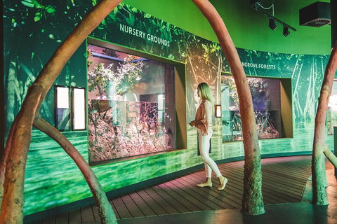 Cairns Aquarium Marine Life Encounter Ticket With 2-Course Lunch - Gold Coast Attractions 3
