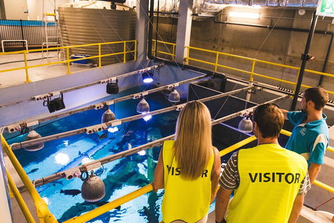 Cairns Aquarium Marine Life Encounter Ticket With 2-Course Lunch - Gold Coast Attractions 5
