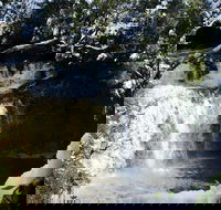 Cradle Mountain Day Tour from Launceston Including Lunch - Gold Coast Attractions