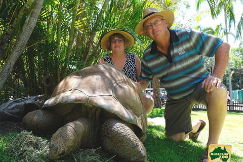 Small-Group Australia Zoo Day Trip From Brisbane - Gold Coast Attractions 1