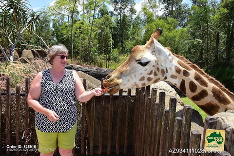 Small-Group Australia Zoo Day Trip From Brisbane - Gold Coast Attractions 2