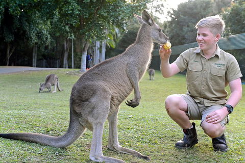 Small-Group Australia Zoo Day Trip From Brisbane - Gold Coast Attractions 4