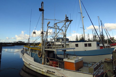 Beyond Byron Hinterland Tour - Gold Coast Attractions 0