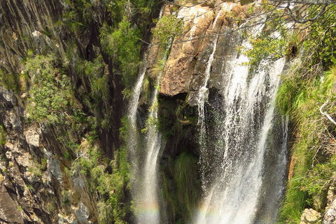 Beyond Byron Hinterland Tour - Gold Coast Attractions 5