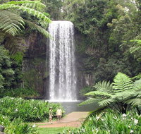 Private Daintree and Cape Tribulation Tour from Port Douglas - Gold Coast Attractions