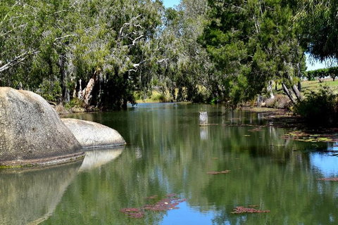 Private Daintree And Cape Tribulation Tour From Port Douglas - Gold Coast Attractions 3