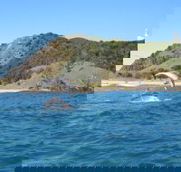 Kayaking with Dolphins in Byron Bay Guided Tour