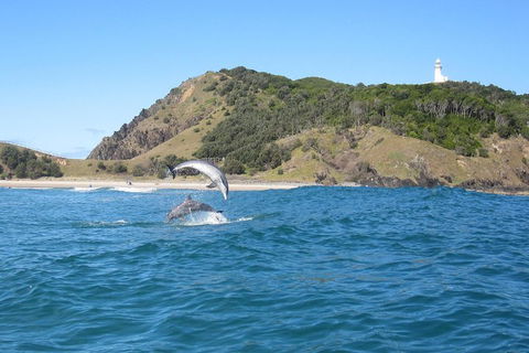 Kayaking With Dolphins In Byron Bay Guided Tour - Gold Coast Attractions 0