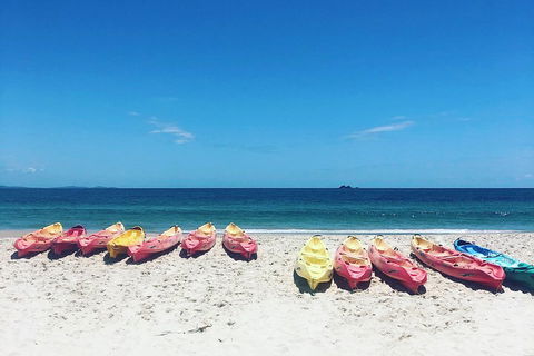 Kayaking With Dolphins In Byron Bay Guided Tour - Gold Coast Attractions 1