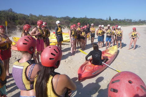 Kayaking With Dolphins In Byron Bay Guided Tour - Gold Coast Attractions 2