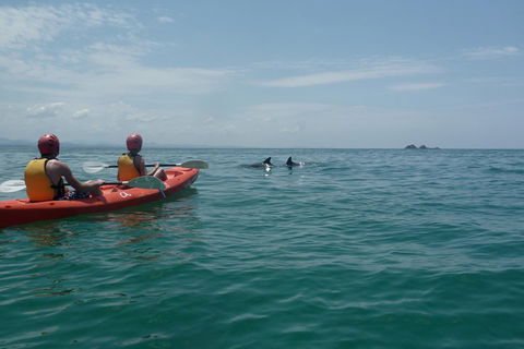 Kayaking With Dolphins In Byron Bay Guided Tour - Gold Coast Attractions 4