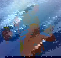 12-Day Great Barrier Reef Marine Conservation Program from Cairns - Gold Coast Attractions