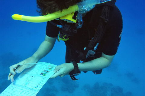 12-Day Great Barrier Reef Marine Conservation Program From Cairns - Gold Coast Attractions 2