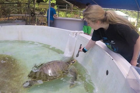 12-Day Great Barrier Reef Marine Conservation Program From Cairns - Gold Coast Attractions 4