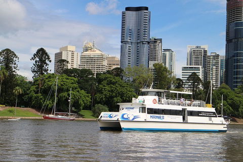 Lone Pine Koala Sanctuary Admission With Brisbane River Cruise - Gold Coast Attractions 2