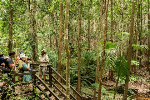 Fraser Explorer K'gari 2-Day Tour - Gold Coast Attractions 5