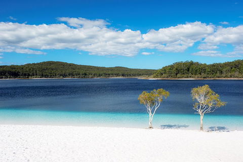 All-Inclusive Fraser Island Day Tour - Gold Coast Attractions 3