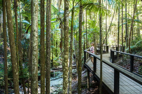 All-Inclusive Fraser Island Day Tour - Gold Coast Attractions 5