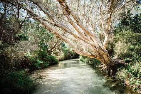 3-Day Fraser Island Resort Package - Gold Coast Attractions 5