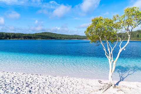 Lake McKenzie Full-Day Tour With Lunch From Hervey Bay - Gold Coast Attractions 1