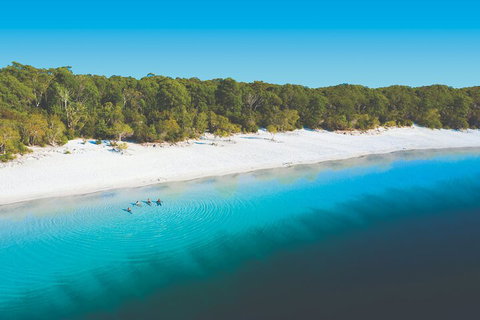 Lake McKenzie Full-Day Tour With Lunch From Hervey Bay - Gold Coast Attractions 4