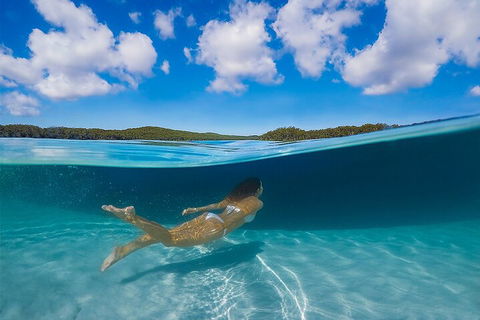 Lake McKenzie Full-Day Tour With Lunch From Hervey Bay - Gold Coast Attractions 5