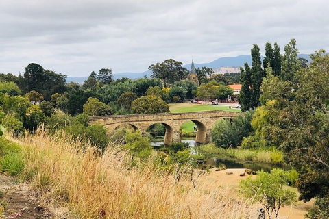 Day Tour In Mt. Field, Mt. Wellington, Bonorong Wildlife Sanctuary And Richmond - Gold Coast Attractions 3